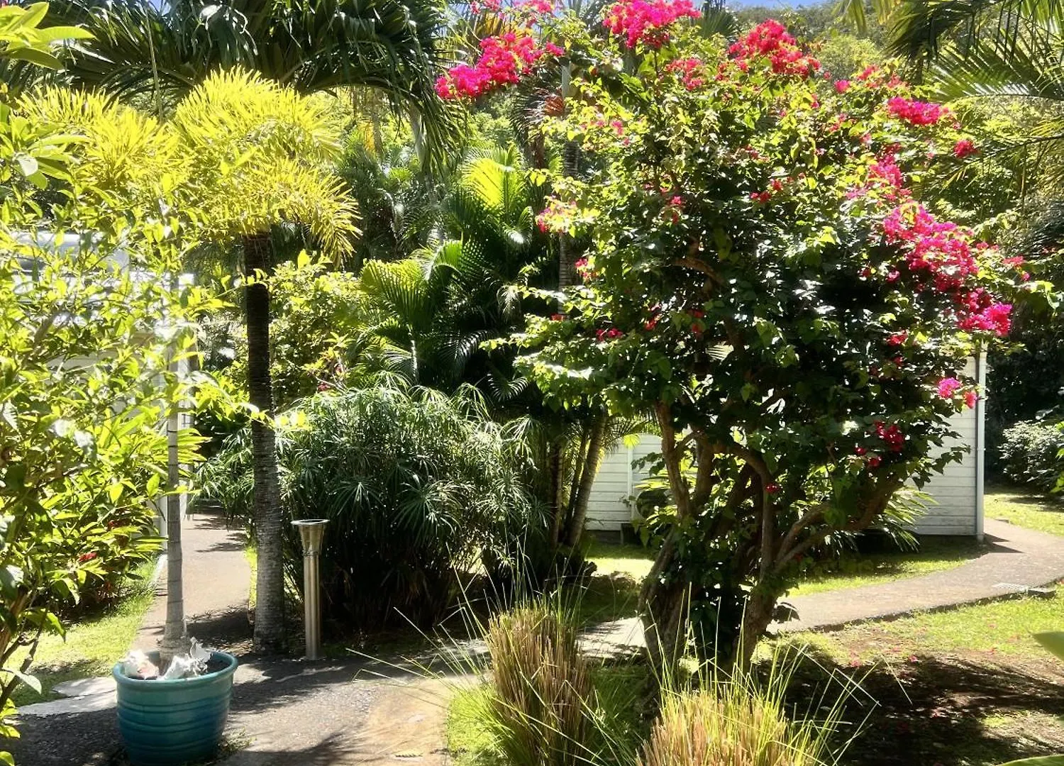 Baz Creole Villa Deshaies Holiday home