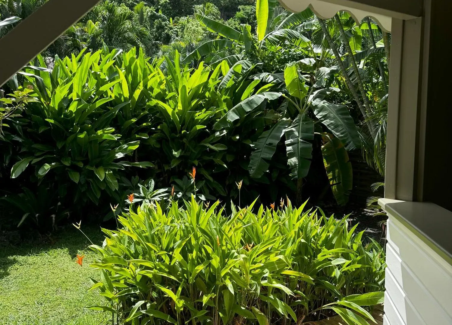 Holiday home Baz Creole Villa Deshaies Guadeloupe