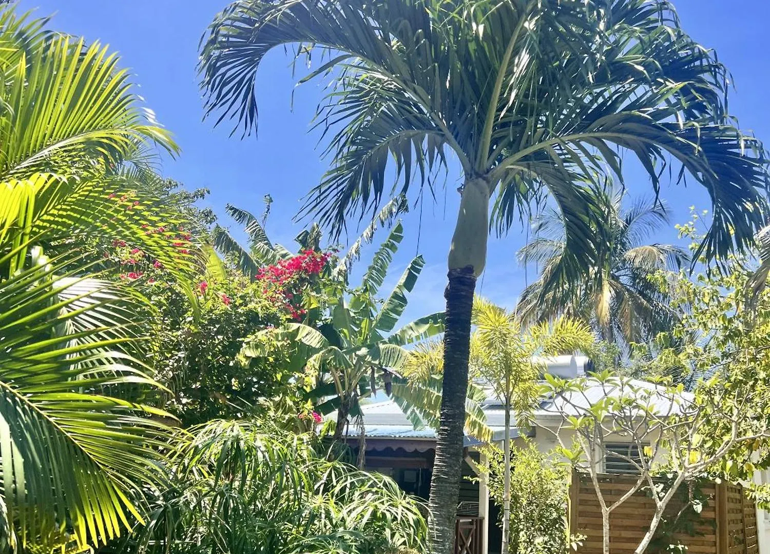 Holiday home Baz Creole Villa Deshaies