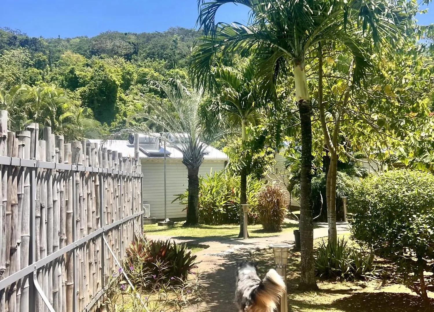 Baz Creole Villa Deshaies 0*,
